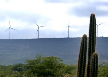 Piauí vira alvo de investimentos e se torna um dos maiores produtores de energia eólica  do Brasil