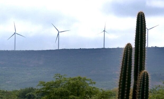 Piauí vira alvo de investimentos e se torna um dos maiores produtores de energia eólica  do Brasil