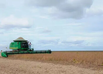 Estiagem provoca queda de até 70% na produção dos Cerrados na safra 2015/2016