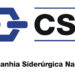 CSN investirá R$ 540 milhões em projeto agroflorestal que irá gerar 5 mil empregos no sul do Piauí