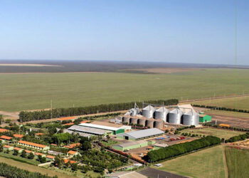 Descendente de holandeses emprega mais de 500 pessoas e inaugura usina solar em fazenda no Piauí