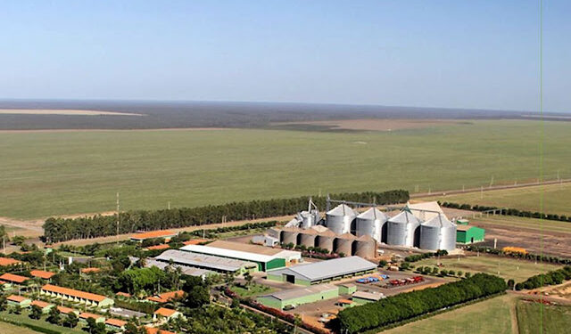Descendente de holandeses emprega mais de 500 pessoas e inaugura usina solar em fazenda no Piauí