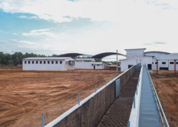 Piauí ganhará seu primeiro frigorífico agroindustrial