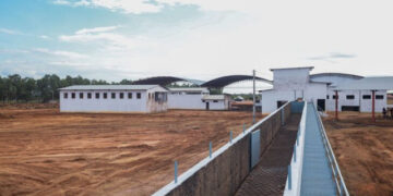 Piauí ganhará seu primeiro frigorífico agroindustrial