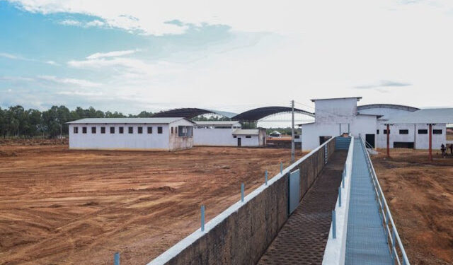Piauí ganhará seu primeiro frigorífico agroindustrial